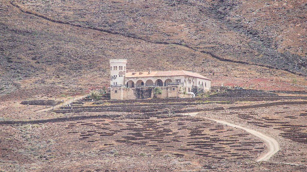 IMG-8958.jpg
