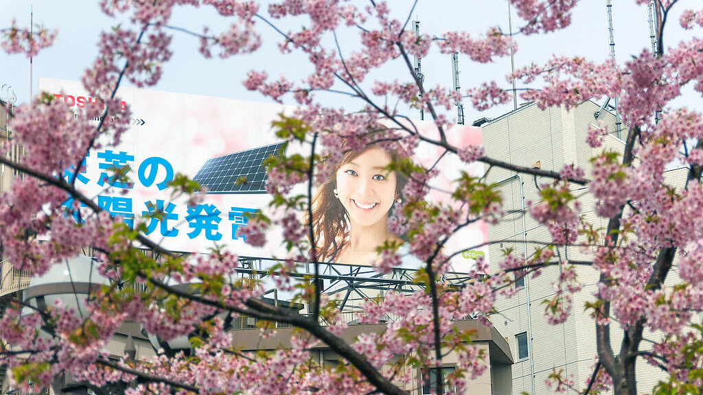 IMG-3774.jpg