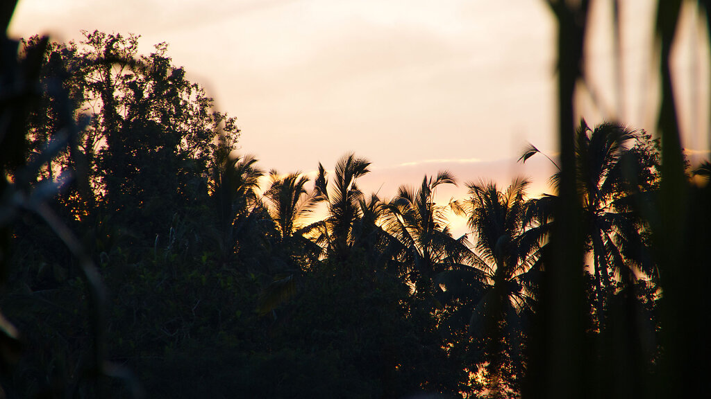 IMG-5316.jpg
