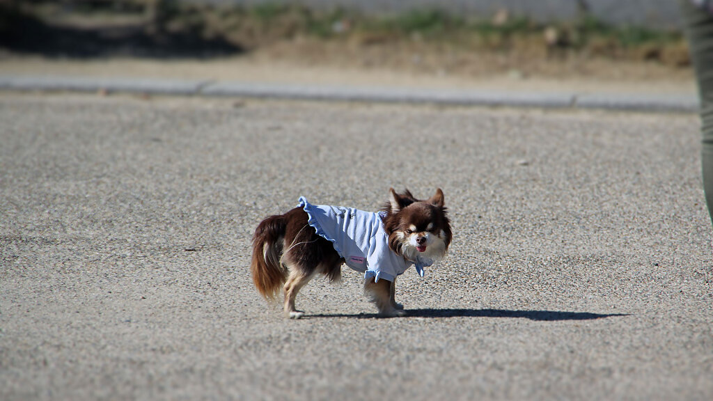 IMG-6214x.jpg