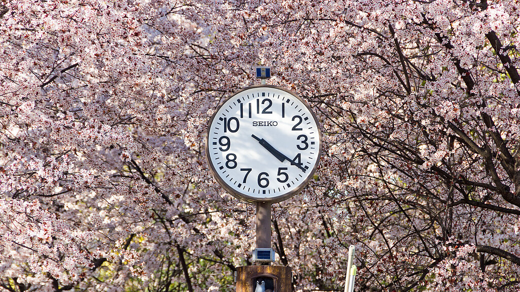 IMG-6259.jpg