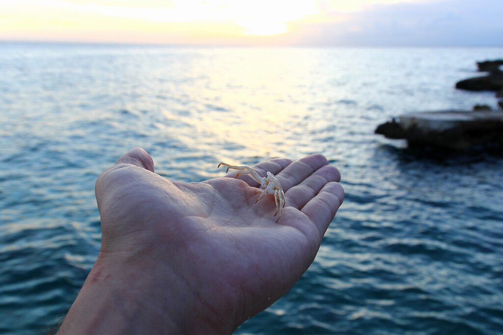 IMG-3922.jpg