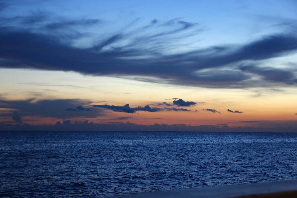 IMG-3937.jpg