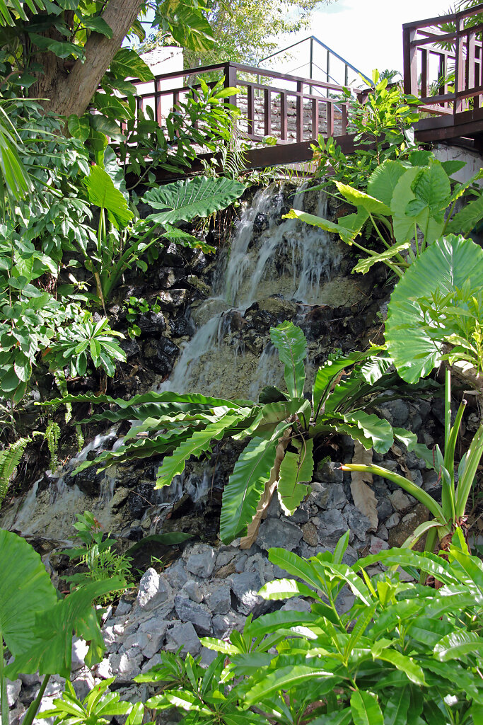 IMG-3434.jpg