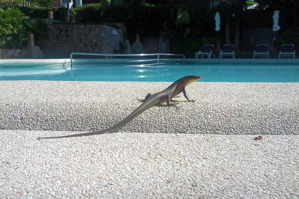 IMG-3439x.jpg