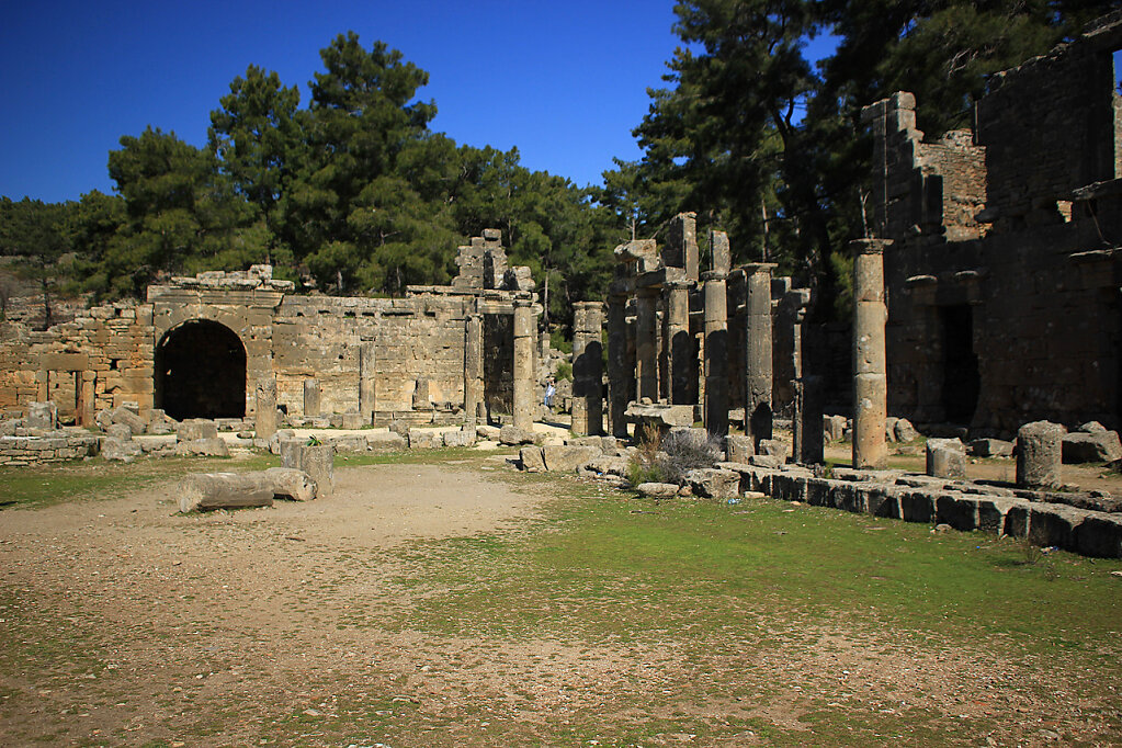 IMG-6658.jpg