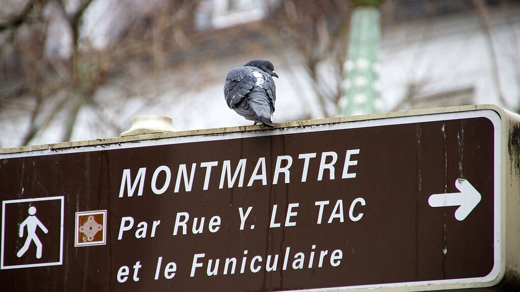 IMG-7438.jpg