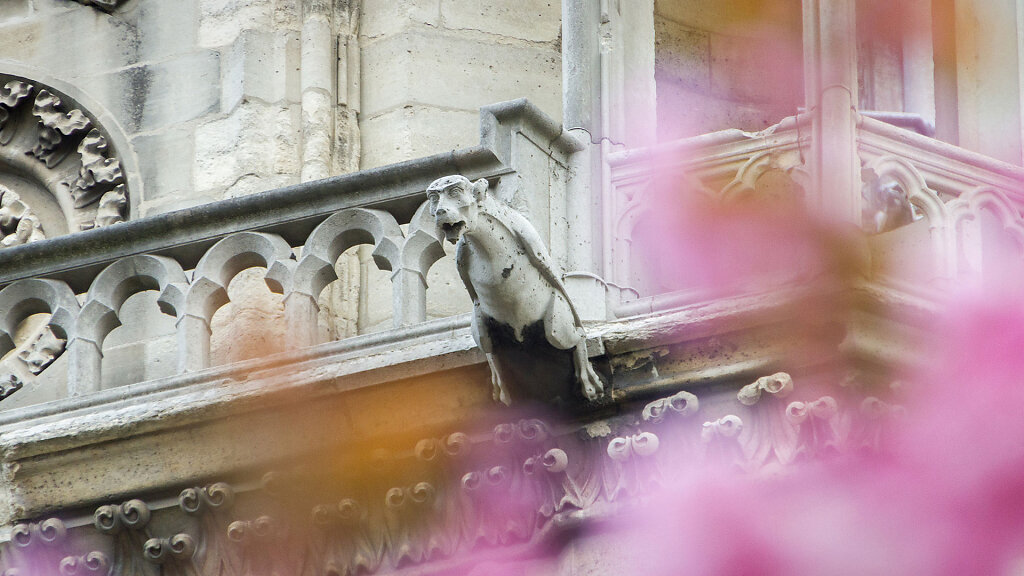 IMG-7983.jpg