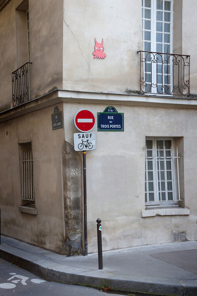 IMG-8007.jpg