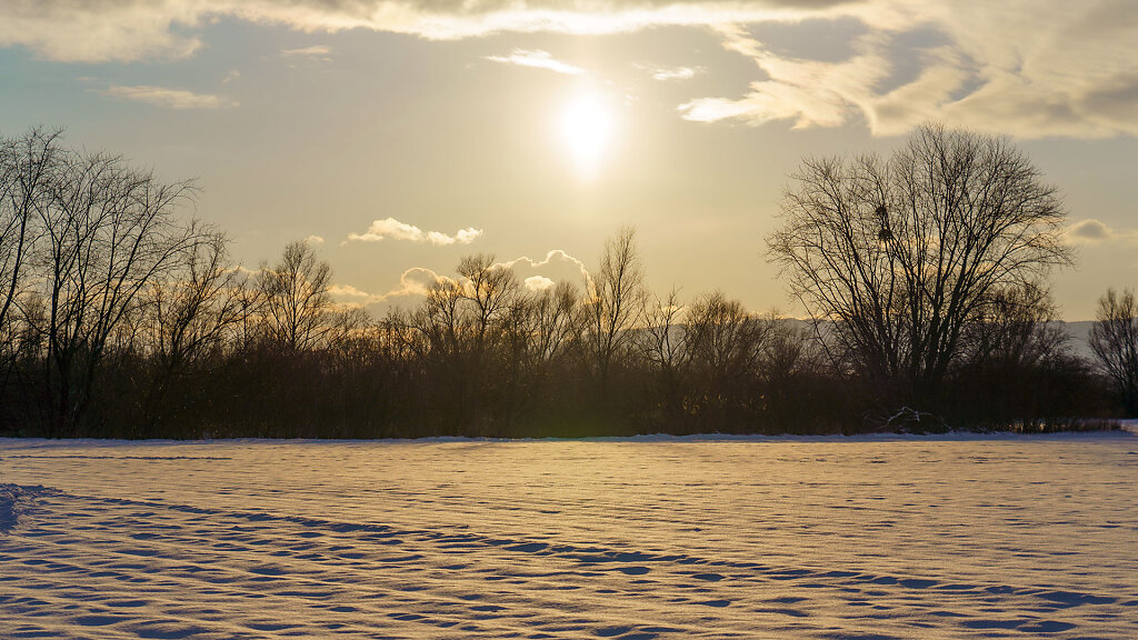 20210211163833-DSC01232.jpg