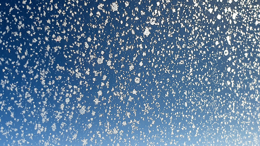20220124-115213-20220124-135213.jpg