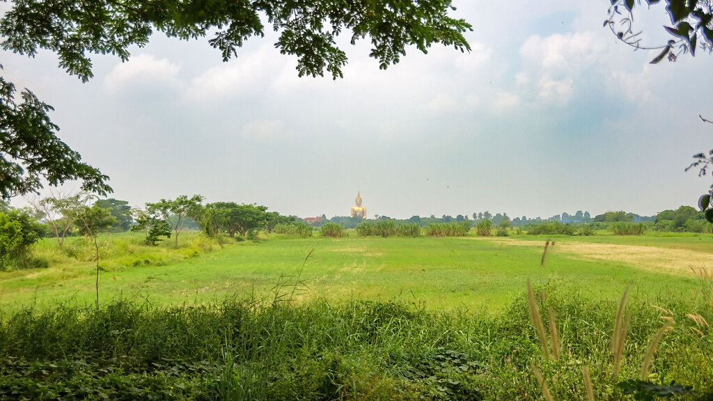 20220418-111941-THA-6639-HDR.jpg