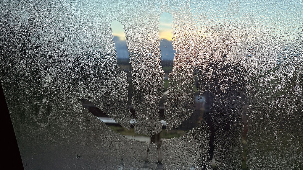 20230113-083204-IMG-1590.jpg