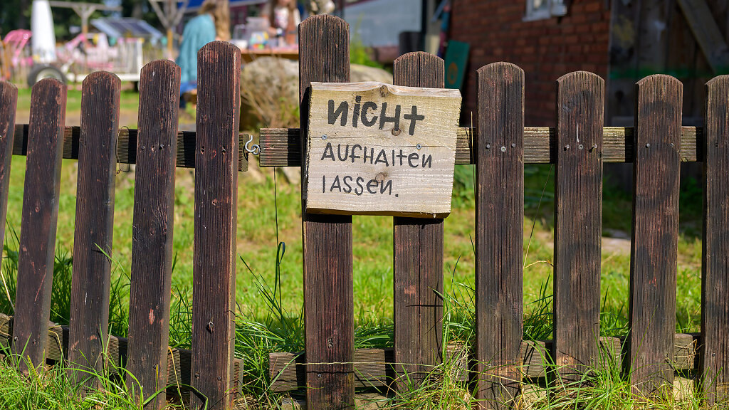 20230910-132015-DSC-5381.jpg