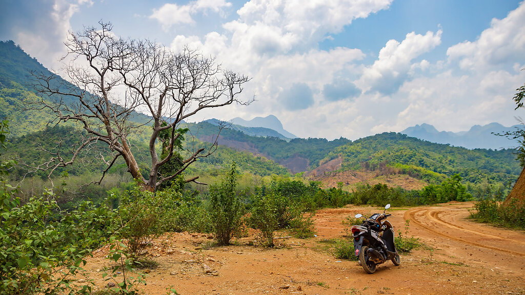 20230516-132314-THAI1014-HDR.jpg
