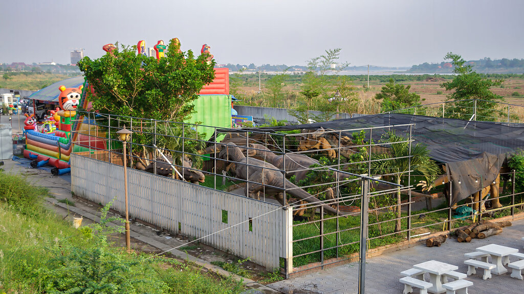 20230520-172439-THAI1484.jpg